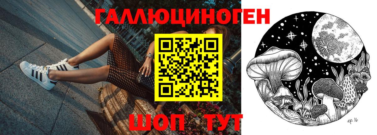 Галлюциногенные грибы Psilocybe Керчь