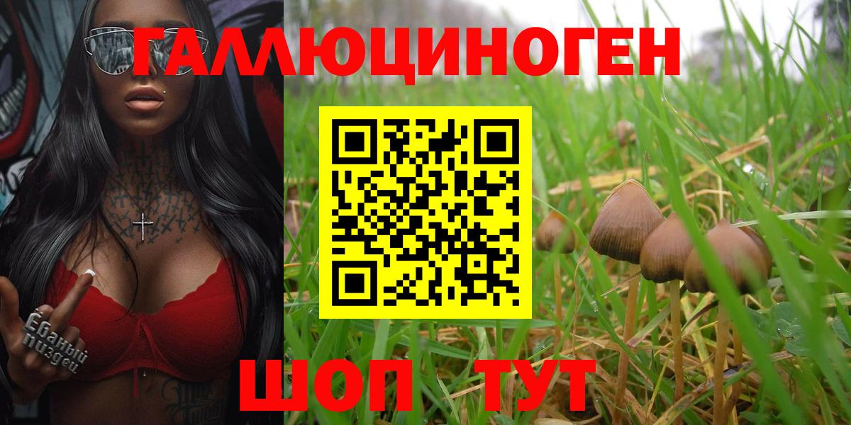 Керчь  Галлюциногенные грибы прущие грибы  как найти наркотики  Вход с VPN 